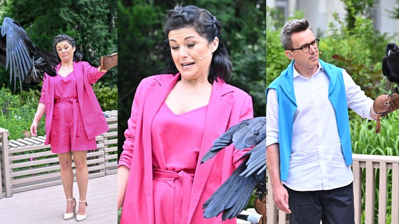 To koniec "Kurzopków" w "Pytaniu na śniadanie". Przypominamy ikoniczne momenty