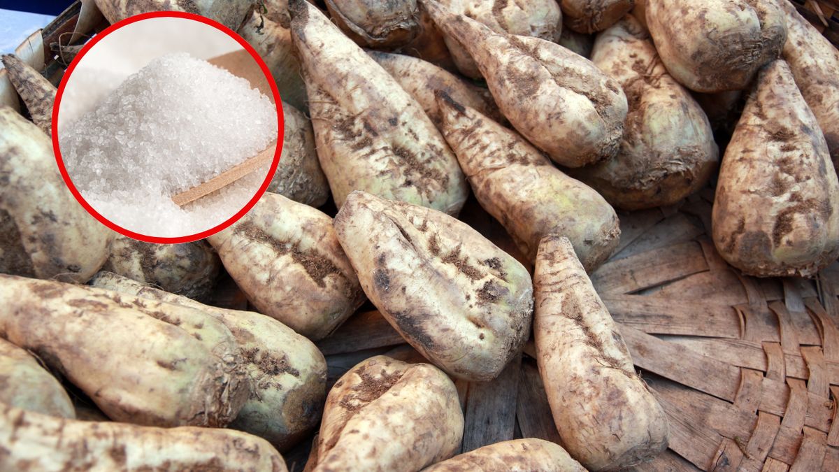 Trudna sytuacja na rynku cukru w 2025 roku