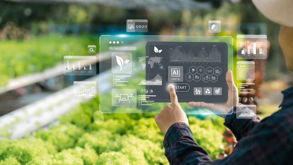 Agricultural technology concept, Ai system. A young man is working on a farm using a tablet controller with innovative technology for a smart farm system.
farm, smart, technology, digital, ai, farmer, agriculture, control, innovation, garden, business, worker, environment, soil, food, data, crop, farmland, iot, agronomy, organic, people, outdoors, graphic, plant, science, growth, futuristic, modern, tablet, sensor, concept, green, analysis, internet, network, using, vegetable, visual, equipment, plantation, industry, automated, agricultural, automation, harvesting, cyberspace, learning, monitoring, application, farm, smart, technology, digital, ai, farmer, agriculture, control, innovation, garden, business, worker, environment, soil, food, data, crop, farmland, iot, agronomy, organic, people, outdoors, graphic, plant, science, growth, futuristic, modern, tablet, sensor, concept, green, analysis, internet, network, using, vegetable, visual, equipment, plantation, industry, automated, agricultural, automation, harvesting, cyberspace, learning, monitoring
