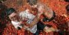 Kolumbijska "tomatina"