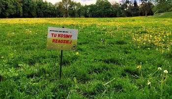 Stanęły na trawniku. Tylko trzy słowa. "Robimy to świadomie"