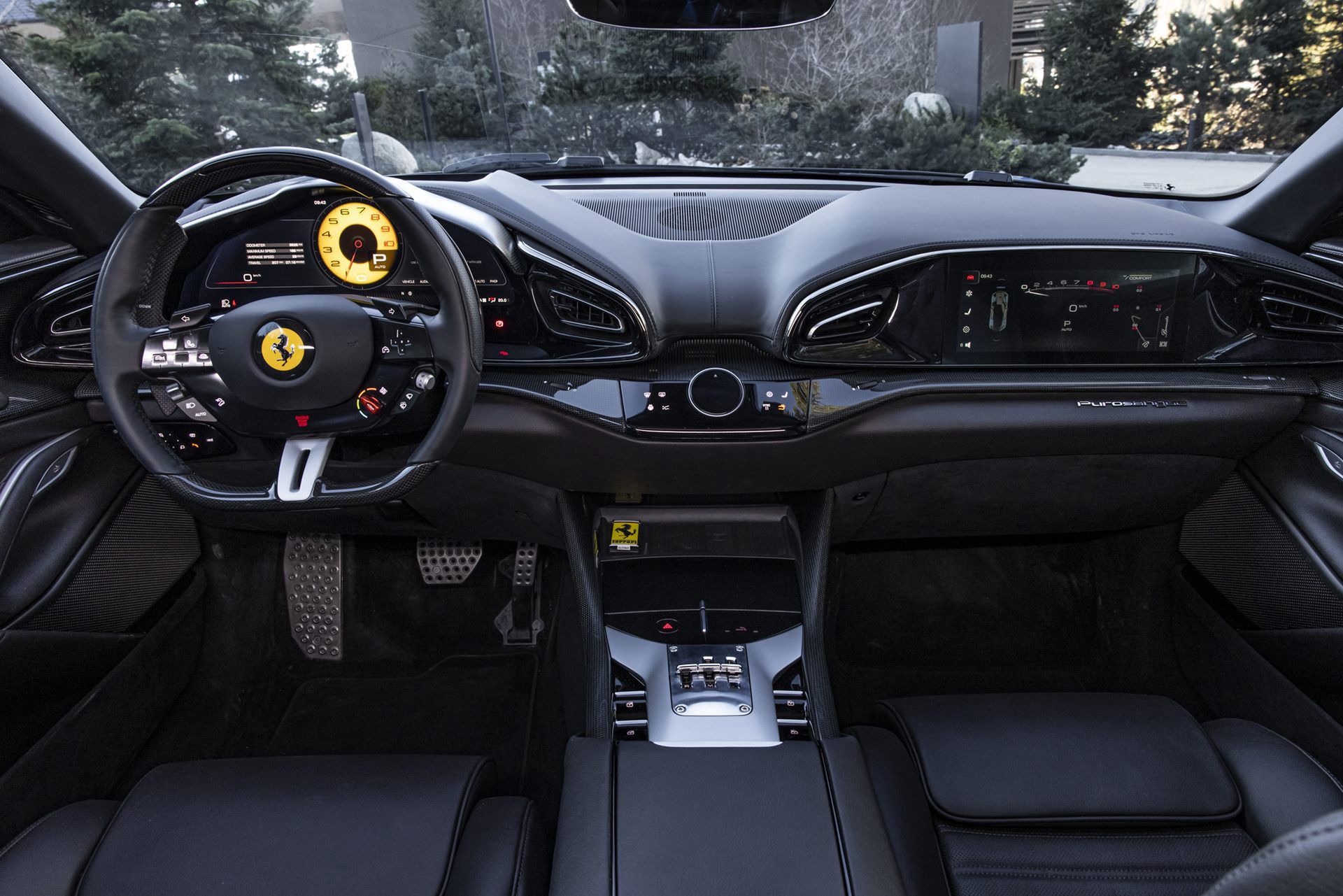 Ferrari Purosange