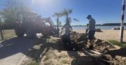 Palmy wróciły nad Zalew Miejski w Zamościu. Plaża przygotowuje się do sezonu letniego