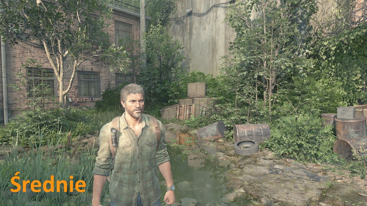 The Last of Us (PC) - detale średnie