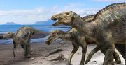 Dinozaur, który przeszedł ocean? Naukowcy odkryli coś, czego nie potrafią wyjaśnić