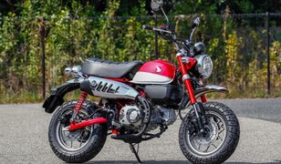 Motocykl dnia: Honda Monkey
