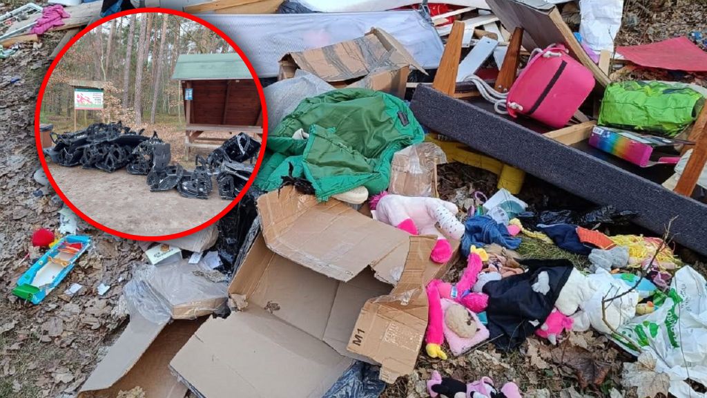 W lasach nadal pozostawiane są sterty śmieci