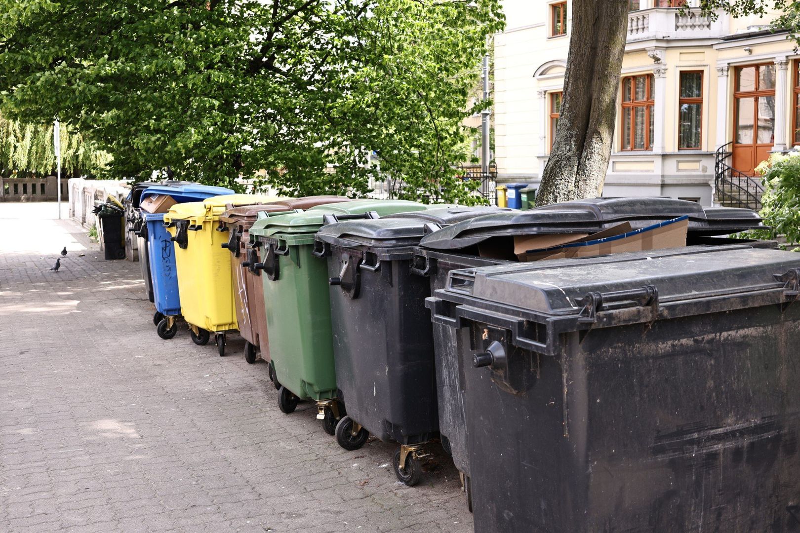 Przy okazji czwartkowej sesji radni będą też głosować nad regulaminem utrzymania czystości i porządku na terenie Gorzowa.