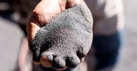 Zmodyfikowane robaki przekształcą CO2 w pokarm dla ludzi i zwierząt