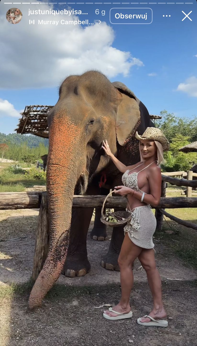 Izabela Macudzińska dokarmia słonie 