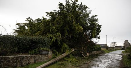 Potężny sztorm. W Belgii zginął 5-latek