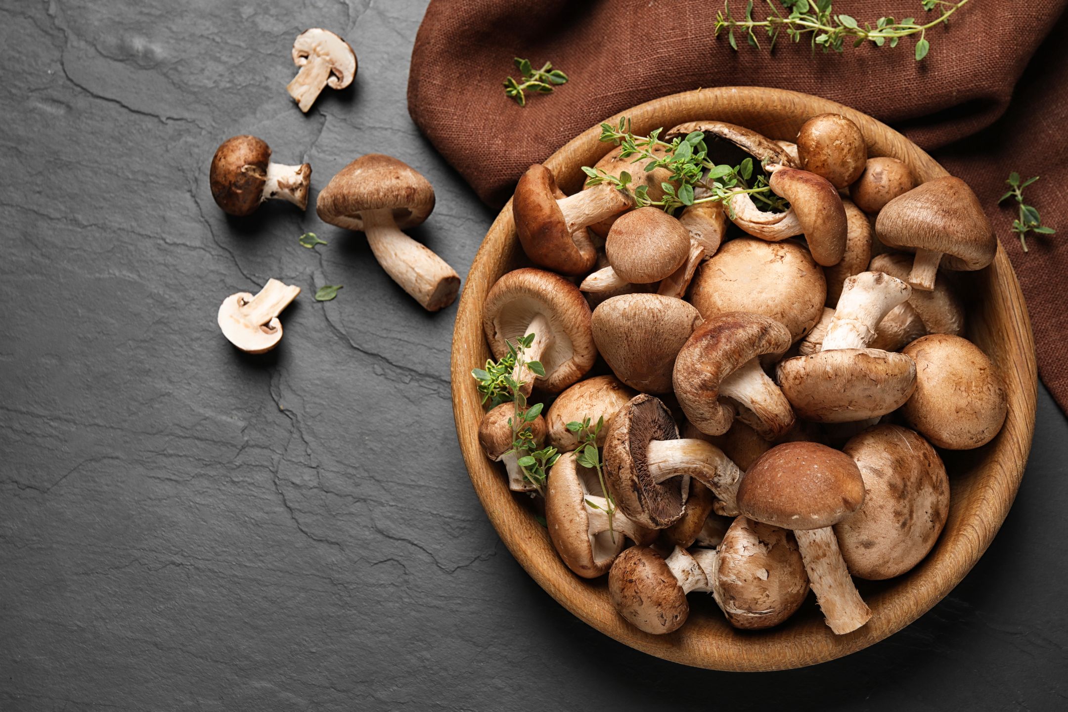 Different fresh wild mushrooms in bowl on black background, flat lay
assortment, autumn, background, black, bowl, brown, champignon, color, cook, cooking, cuisine, culinary, delicious, different, eatable, eating, edible, fall, flat, food, forest, fresh, fungi, gourmet, healthy, ingredient, lay, many, meal, microgreen, mushroom, mushrooms, natural, nutrition, object, organic, plant, raw, recipe, shiitake, stone, table, tasty, top, variety, vegetarian, view, whole, wild, wooden, assortment, autumn, background, black, bowl, brown, champignon, color, cook, cooking, cuisine, culinary, delicious, different, eatable, eating, edible, fall, flat, food, forest, fresh, fungi, gourmet, healthy, ingredient, lay, many, meal, microgreen, mushroom, mushrooms, natural, nutrition, object, organic, plant, raw, recipe, shiitake, stone, table, tasty, top, variety, vegetarian, view, whole, wild, wooden
