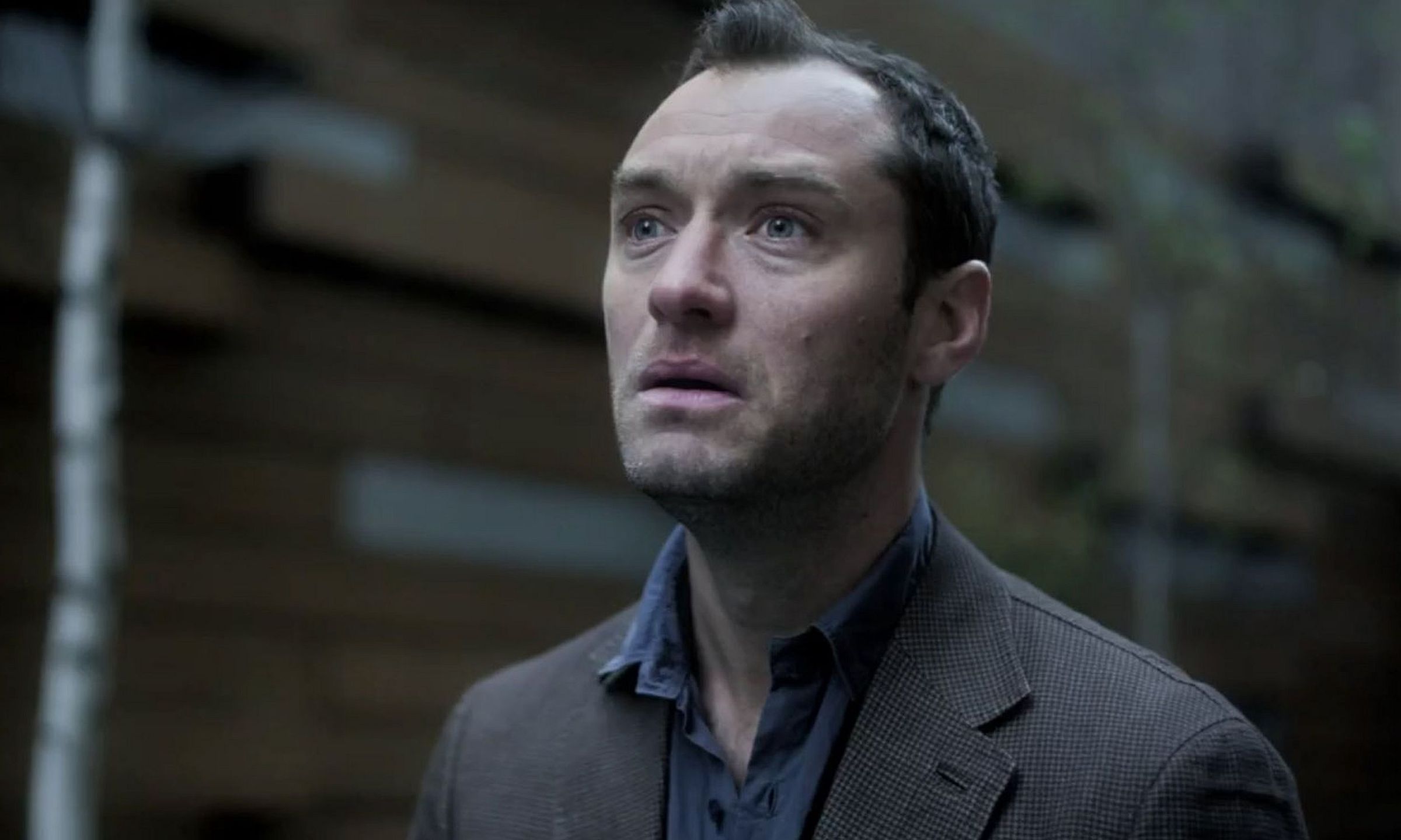 Jude Law ma siedmioro dzieci