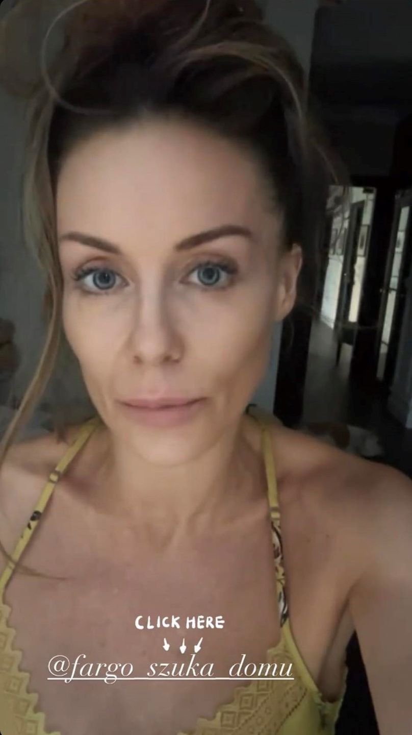 Małgorzata Rozenek apeluje o pomoc dla pieska ze schroniska
