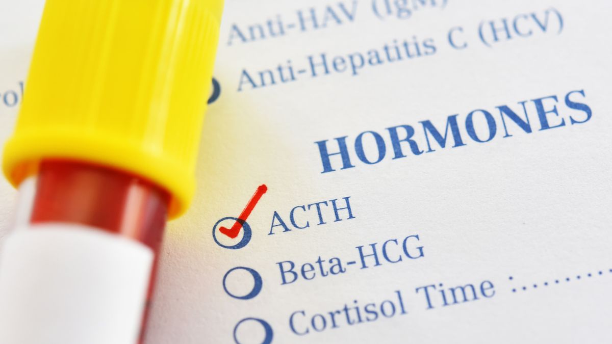 ACTH, czyli adrenokortykotropina, jest to hormon wydzielany przez przedni płat przysadki mózgowej.