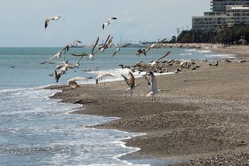 25-letni Brytyjczyk znaleziony martwy na plaży w Hiszpanii