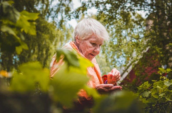 LIR domaga się zrównania emerytur KRUS i ZUS