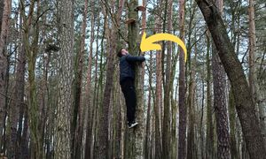 Wskoczył na drzewo. Oto trofeum. Upolował w środku zimy