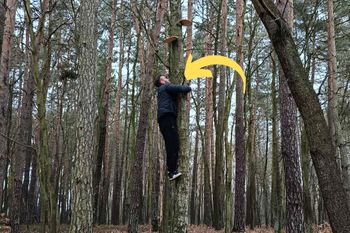Wskoczył na drzewo. Oto trofeum. Upolował w środku zimy