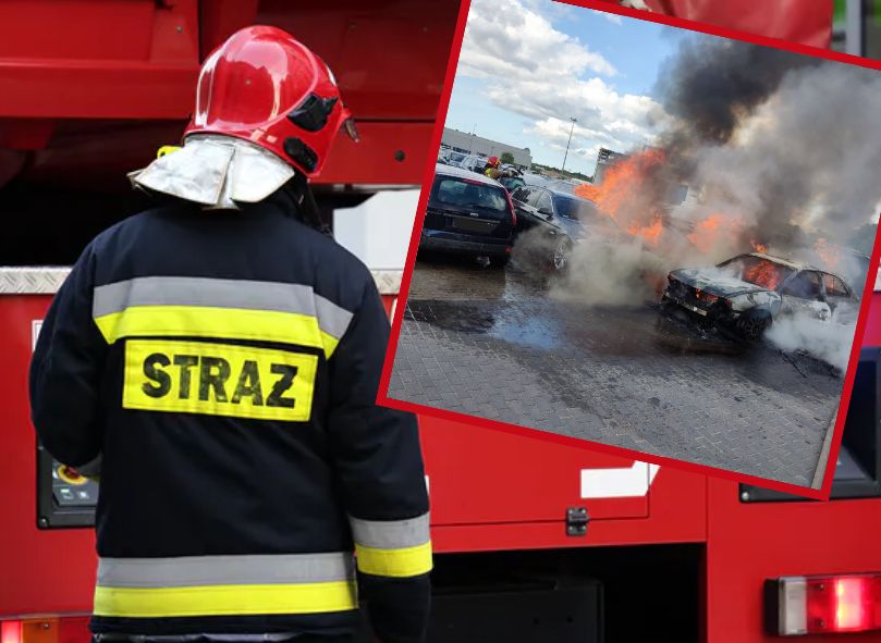 Auta jak pochodnie. Duży pożar przy lotnisku w Gdańsku