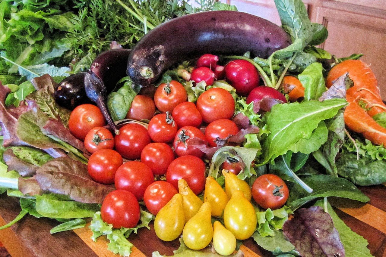Zielona dieta śródziemnomorska uchroni przed chorobą Alzheimera