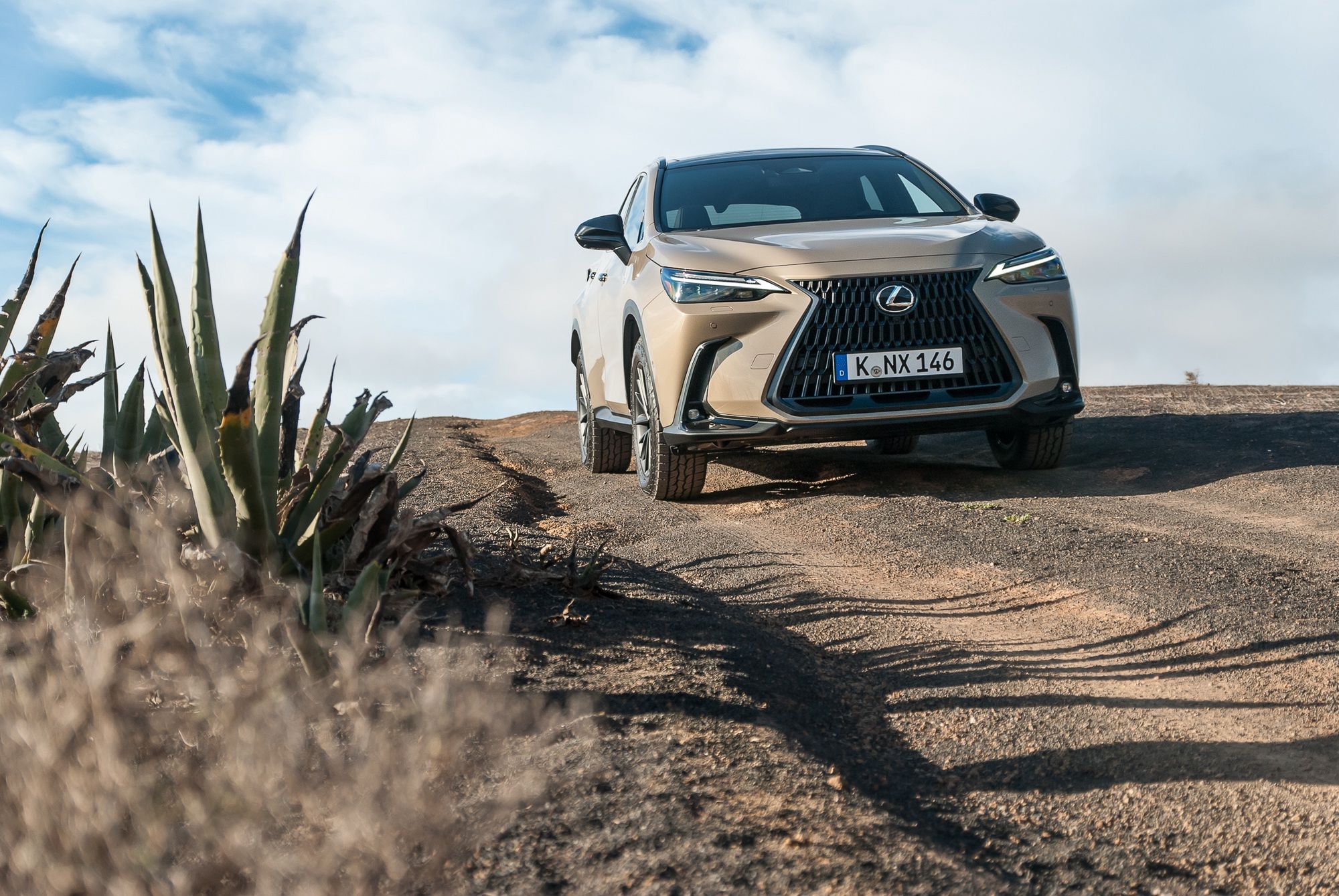 Lexus NX Overtrail