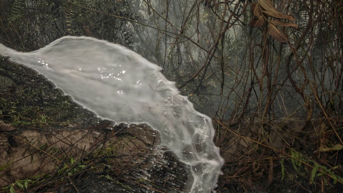 Przerażające przewidywania naukowców. Mówią o Amazonii