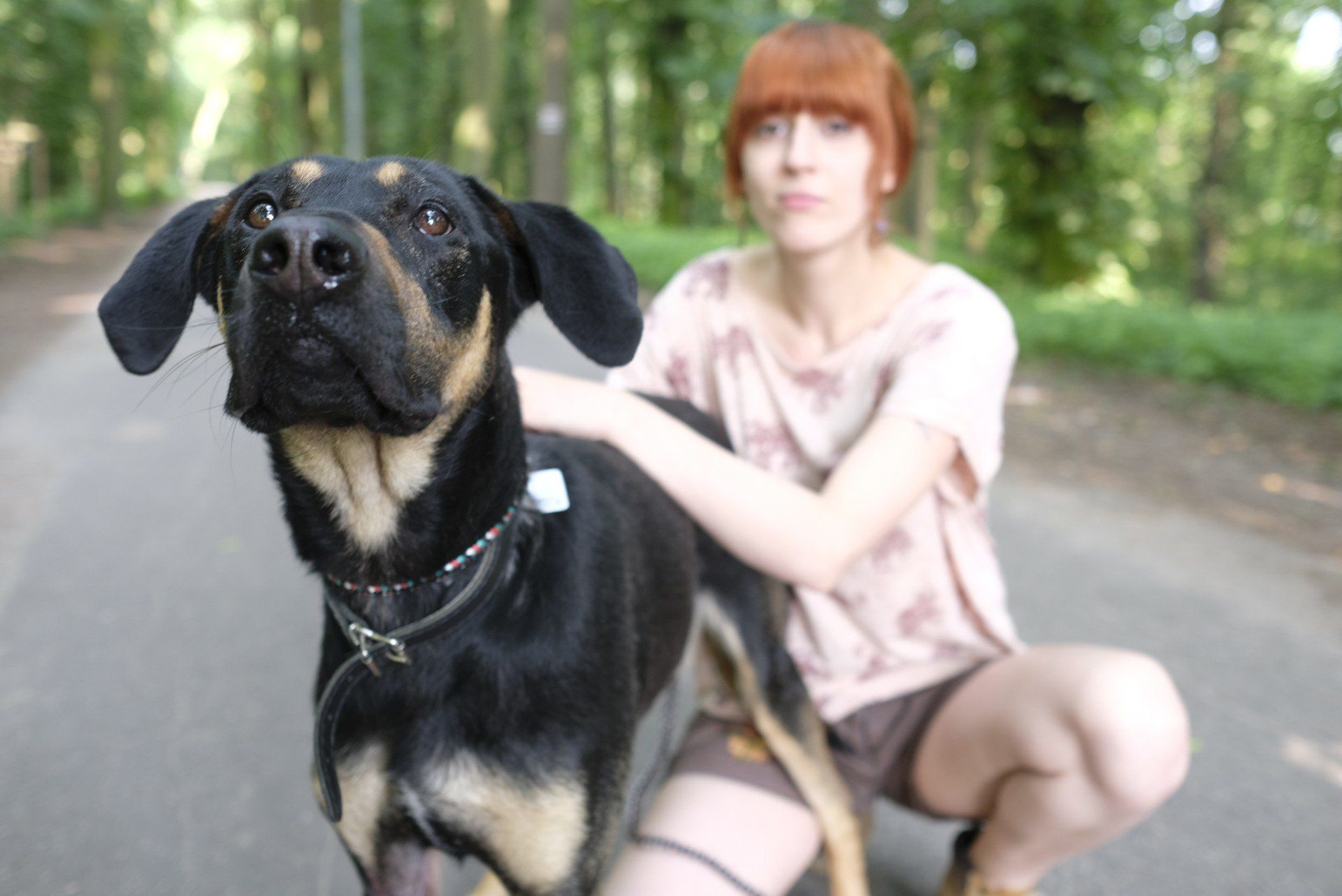 Gdzie zgłaszać błąkające się czworonogi?  Samo ogłoszenie w mediach społecznościowych nie wystarczy.