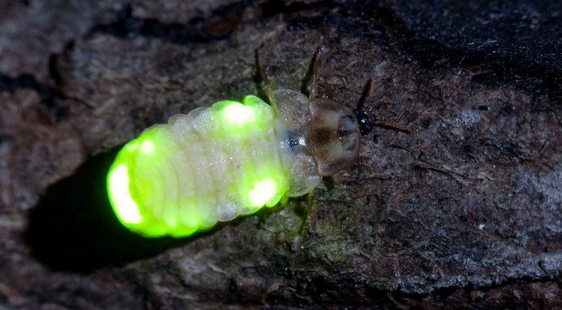 Niezwykłe zdjęcia z Karkonoszy. "To nie UFO"