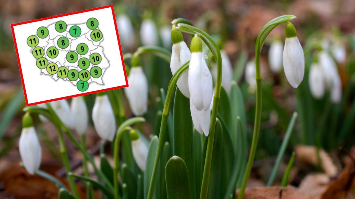 Nadchodzi ocieplenie