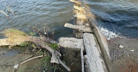 Wyjątkowe znalezisko pod Warszawą. Pamięta czasy potopu szwedzkiego!