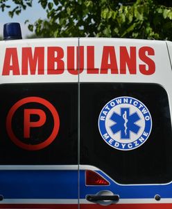 Nagle zauważyli, że ich syn zniknął. Dramatyczne chwile w parku rozrywki