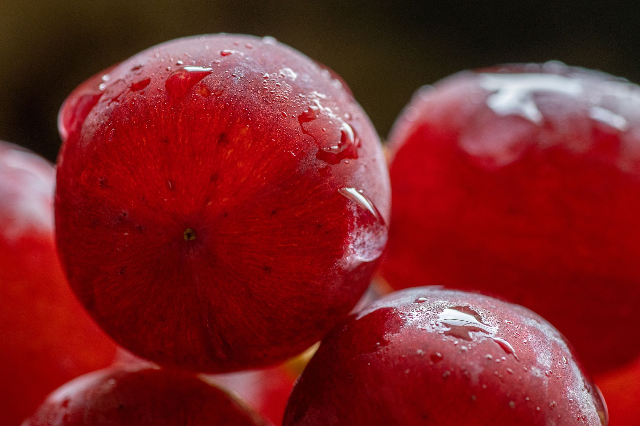 Grapes
Close up image of grapes
Tim M Lanthier