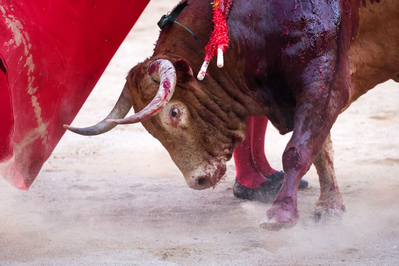 Szokujące sceny na corridzie. Nie żyje torreador