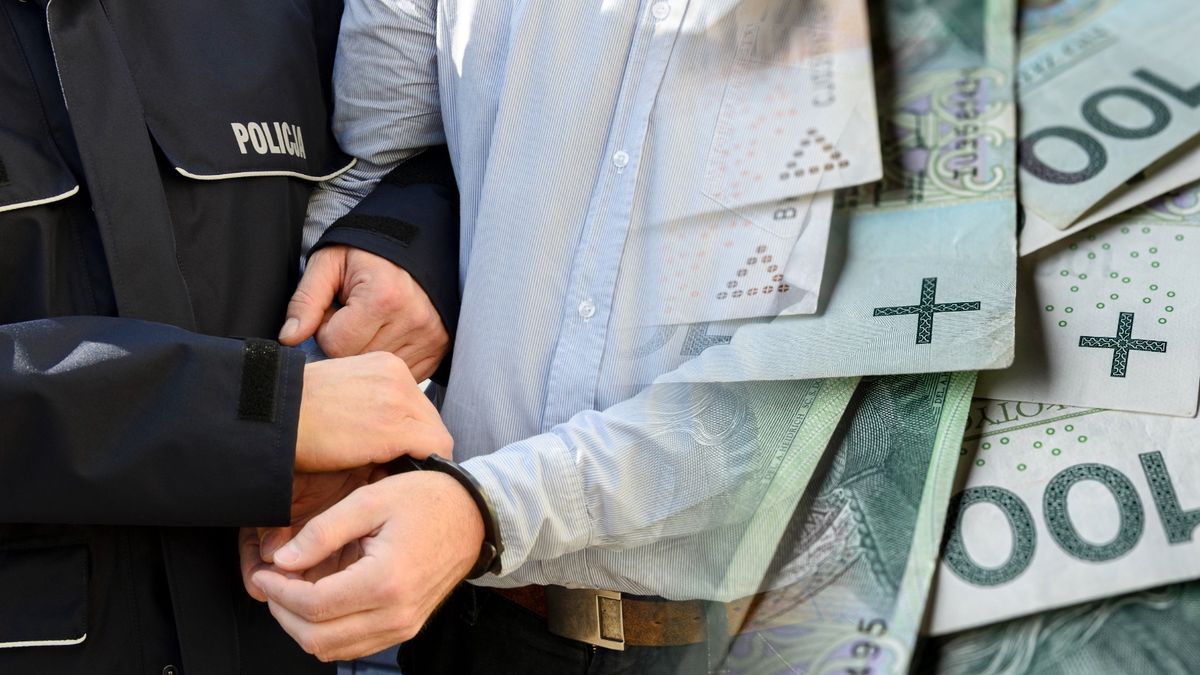 Areszt dla 23-latka podejrzewanego o oszustwo na kwotę 1,8 mln z