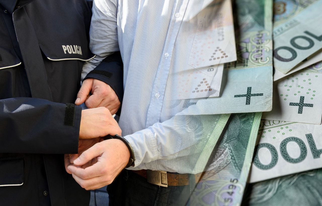 Oszustwa na 1,8 mln zł. 23-latek trafił do aresztu
