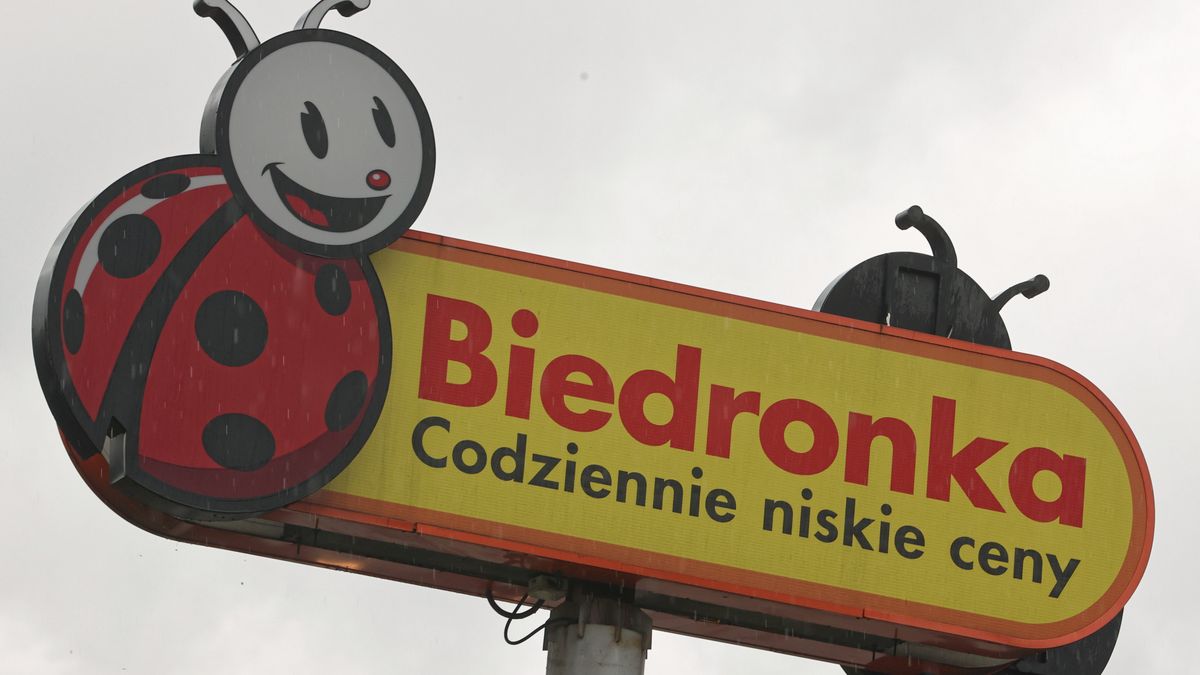 Biedronka kusi promocjami


