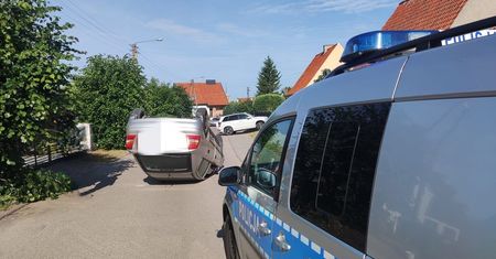 Owad sprawił, że samochód kobiety dachował na środku drogi
