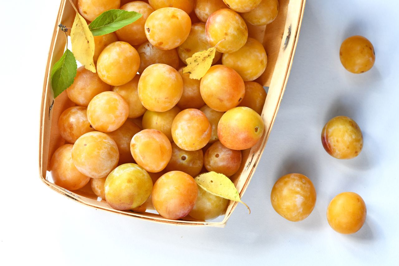 Nalewka z mirabelek. Prosty przepis na domowy specjał