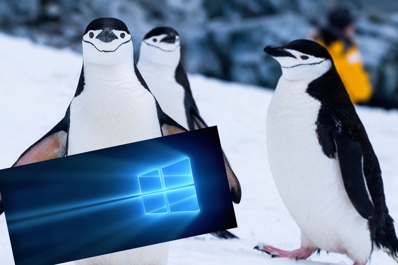 Windows 10 otrzyma jądro Linux