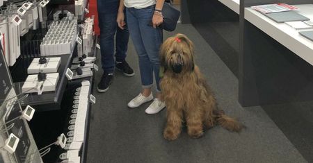 Mordercze upały. MediaMarkt luzuje zasady. Niech cię nie zdziwią miski z wodą