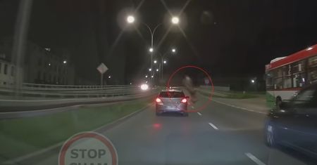 Tak wygląda zderzenie samochodu z jeleniem na ul. Wyścigowej. Zobacz nagranie