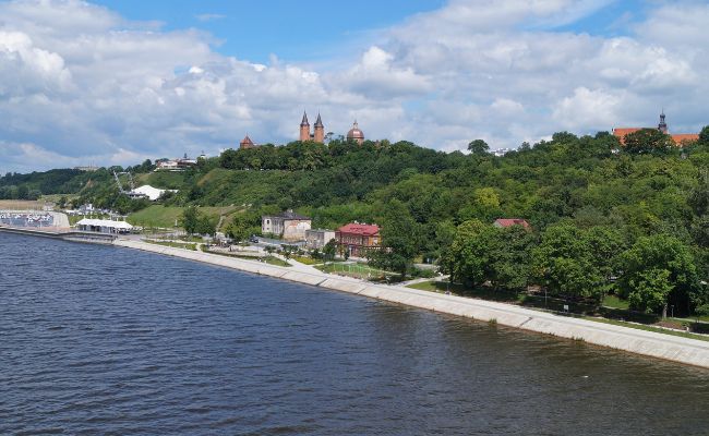 Zieleń w Płocku, statystyki GUS