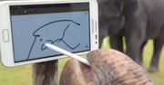 Zabawny wiral Samsunga. Słoń też może być gadżeciarzem!