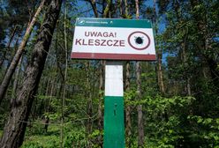 Kleszcze już atakują. Jak chronić się przed kleszczowym zapaleniem mózgu?