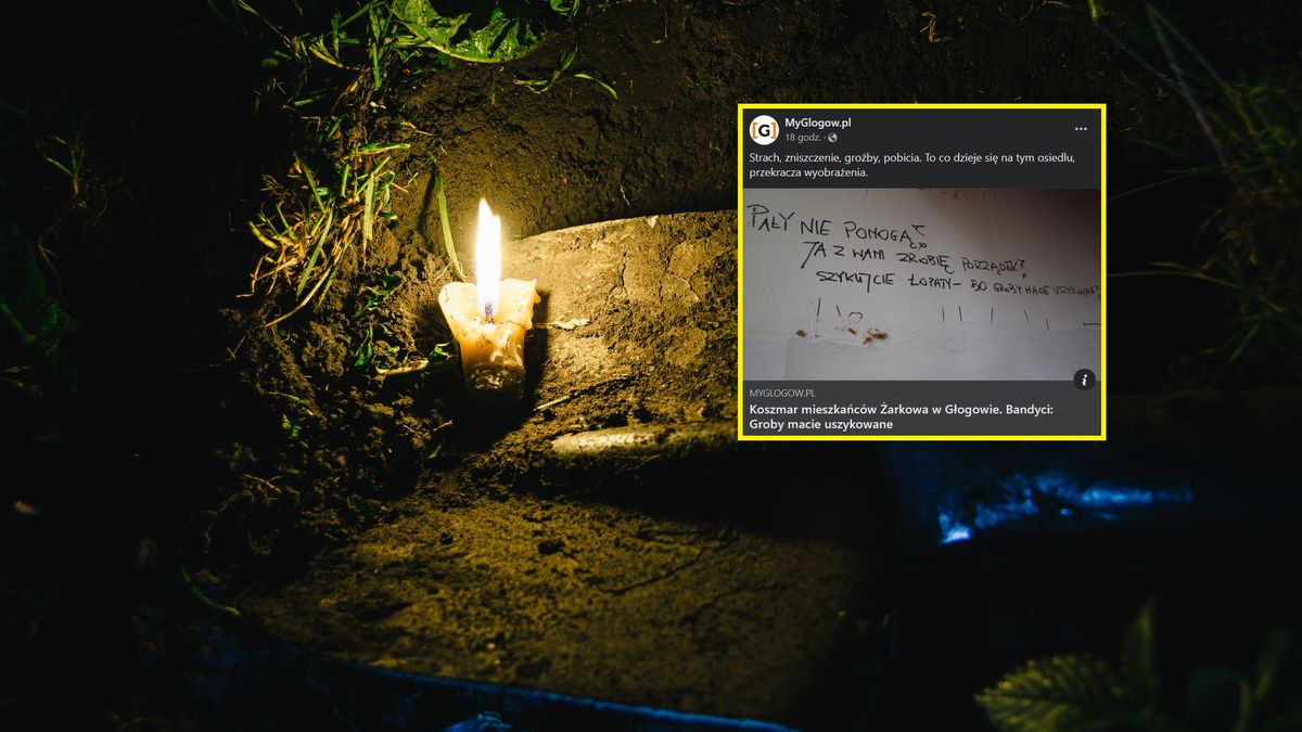 dirty old shovel in dark trench. Digging grave by candlelight. Mystical night scene
dirty old shovel in dark trench. Digging grave by candlelight. Mystical night scene
Avdeev_80