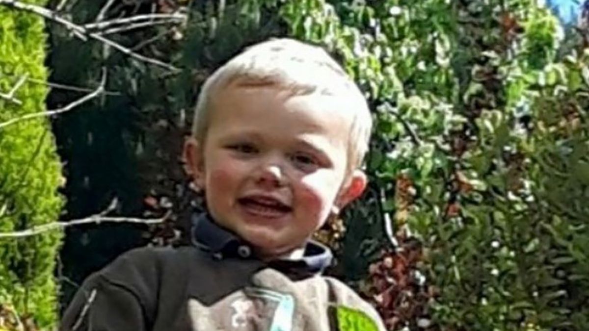 3-letni Daniel Twigg został zagryziony przez agresywnego psa