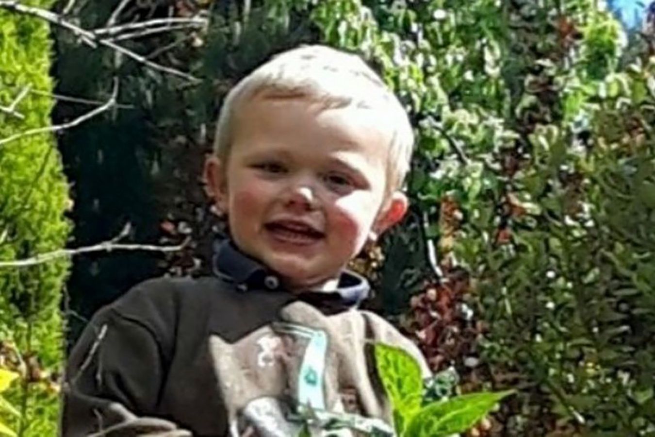 3-letni Daniel Twigg został zagryziony przez agresywnego psa