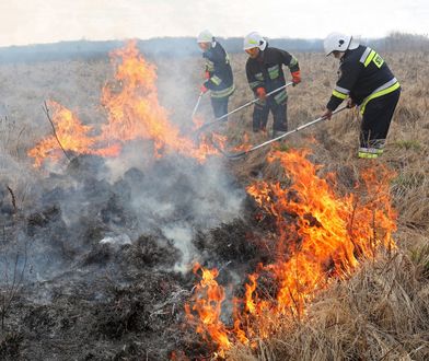 Biebrzański Park Narodowy. Pożar strawił tysiące hektarów łąk i lasów. Chęć pomocy jest silniejsza niż strach