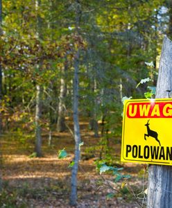 Tragiczny finał polowania. Kto oddał strzał do 60-latka?